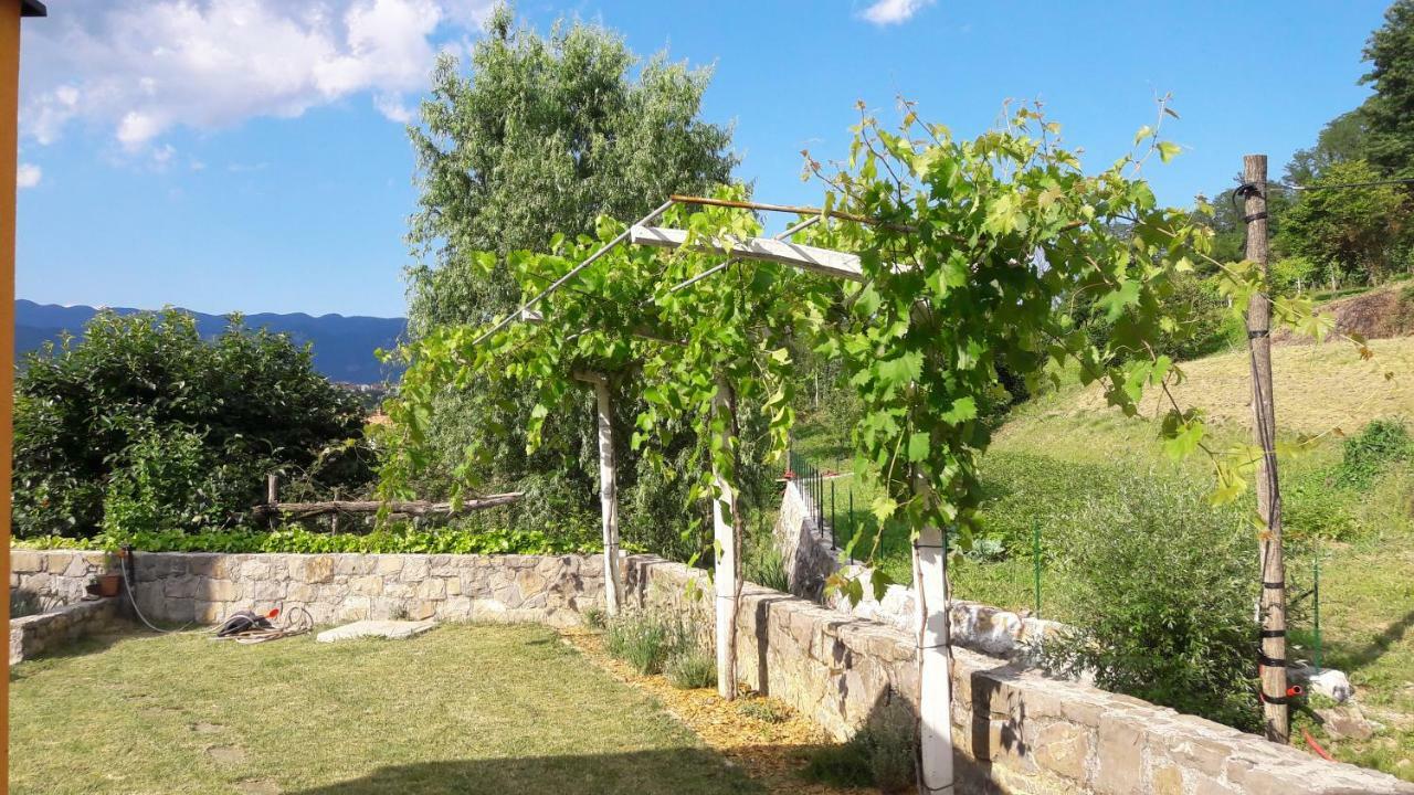 Affittacamere Pocitniska Hisa Dobravlje Esterno foto