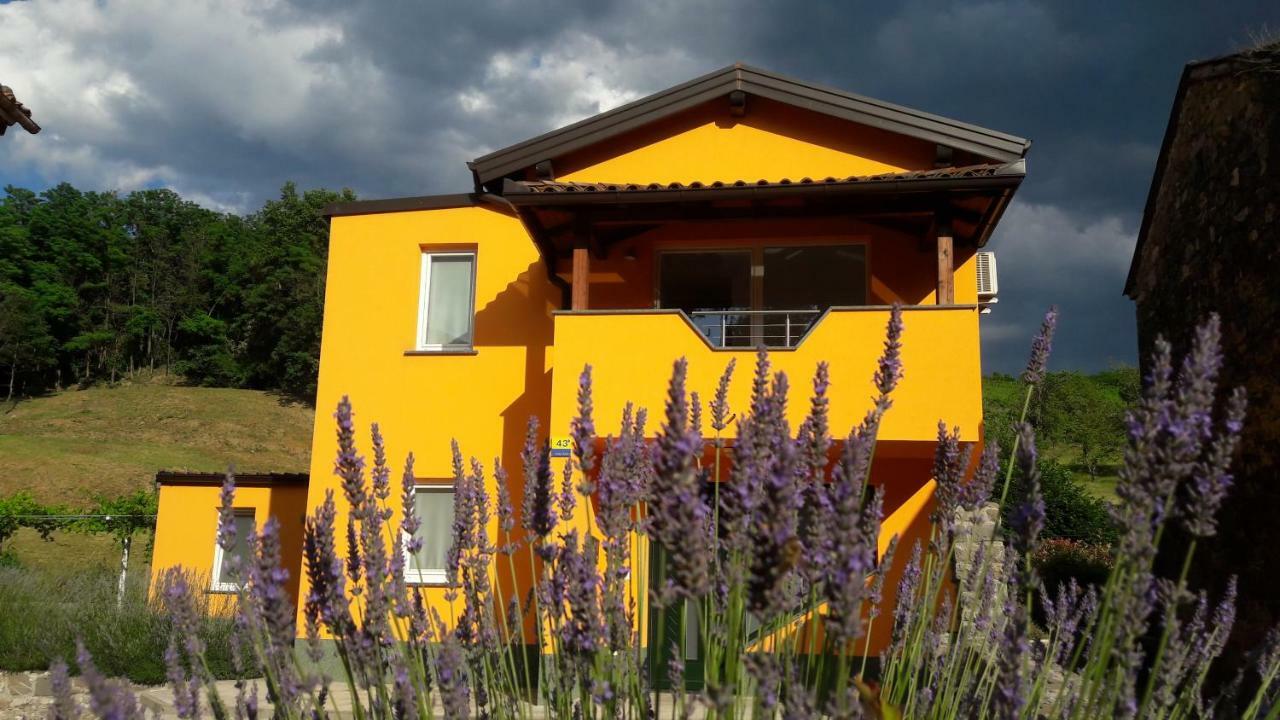 Affittacamere Pocitniska Hisa Dobravlje Esterno foto